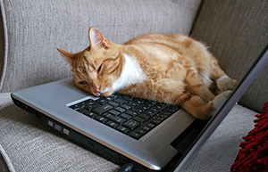 It's official: low-quality streaming makes us sad