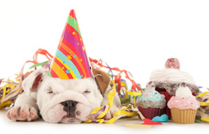 Virgin Mobile announces birthday deals for new and upgrading customers