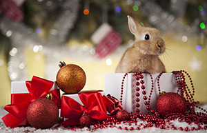 Vodafone gets festive: 20GB for $35 on SIM-only plans