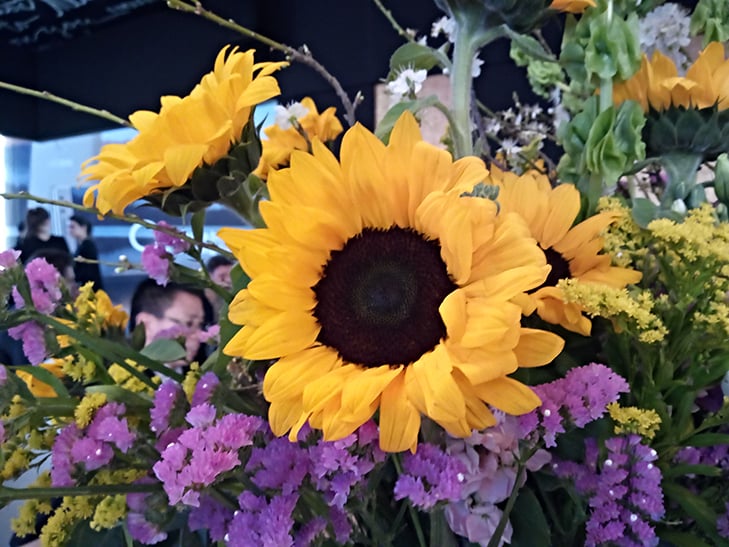 Alcatel 5 camera sample: a flower Alcatel 5 camera sample: a flower