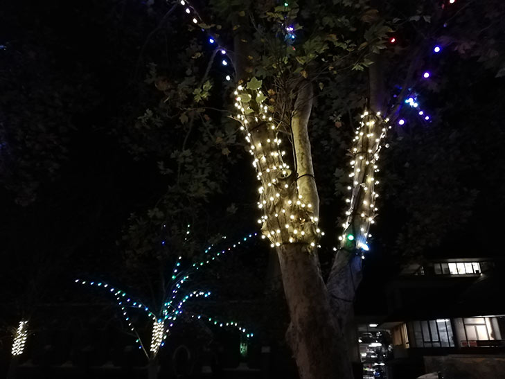 Huawei Nova 3e camera sample: tree at night