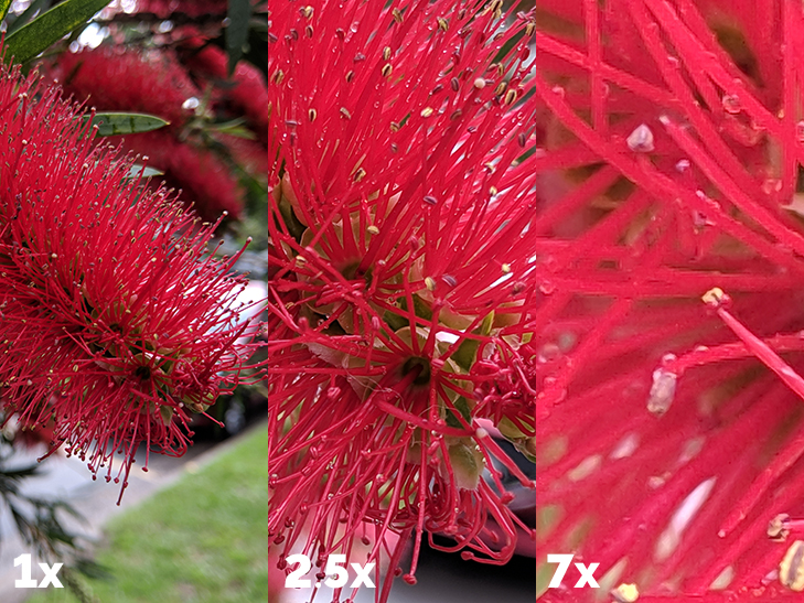 Pixel 3 camera sample: zoom comparison Pixel 3 camera sample: zoom comparison
