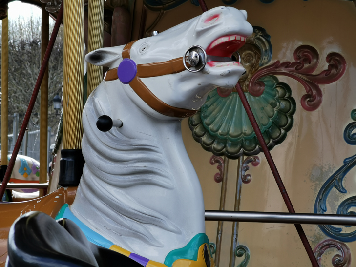 Huawei P30 Pro camera sample: a horse of course Huawei P30 Pro camera sample: a horse of course