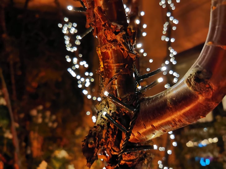Huawei P30 Pro camera sample: pretty lights Huawei P30 Pro camera sample: pretty lights