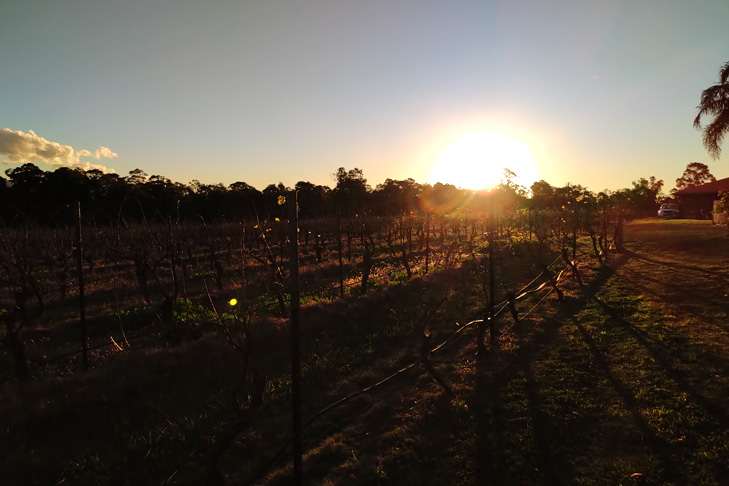 BlackBerry KEY2 camera sample: vineyard sunset BlackBerry KEY2 camera sample: vineyard sunset