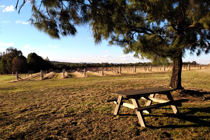 BlackBerry KEY2 camera sample: another vineyard BlackBerry KEY2 camera sample: another vineyard