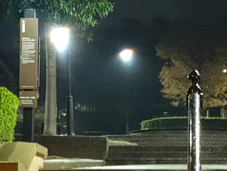 OPPO Reno 5G camera sample: Park OPPO Reno 5G camera sample: Park
