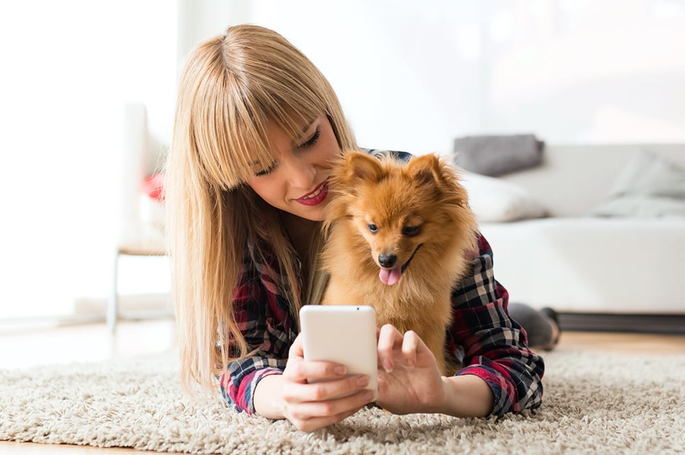 Last Week's Most Popular Phone Plans (26/08/19)