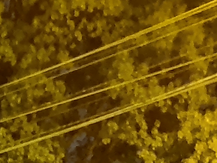 Motorola One Vision camera sample: 100% crop of street at night Motorola One Vision camera sample: 100% crop of street at night
