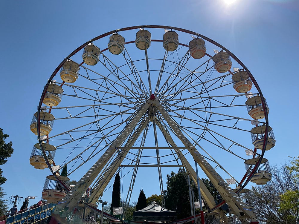 iPhone 11 camera sample