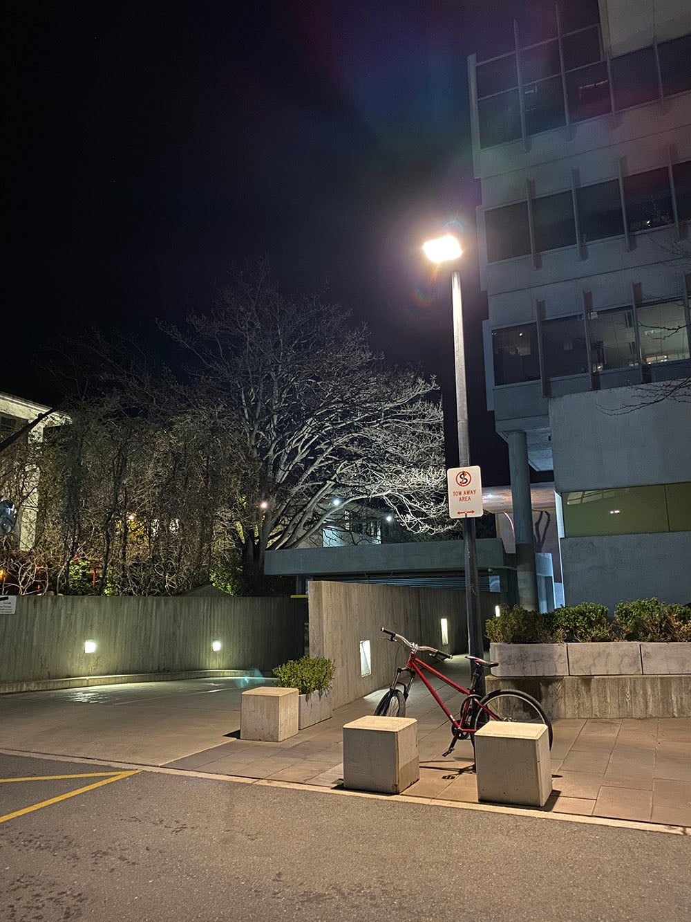 iPhone 11 camera sample