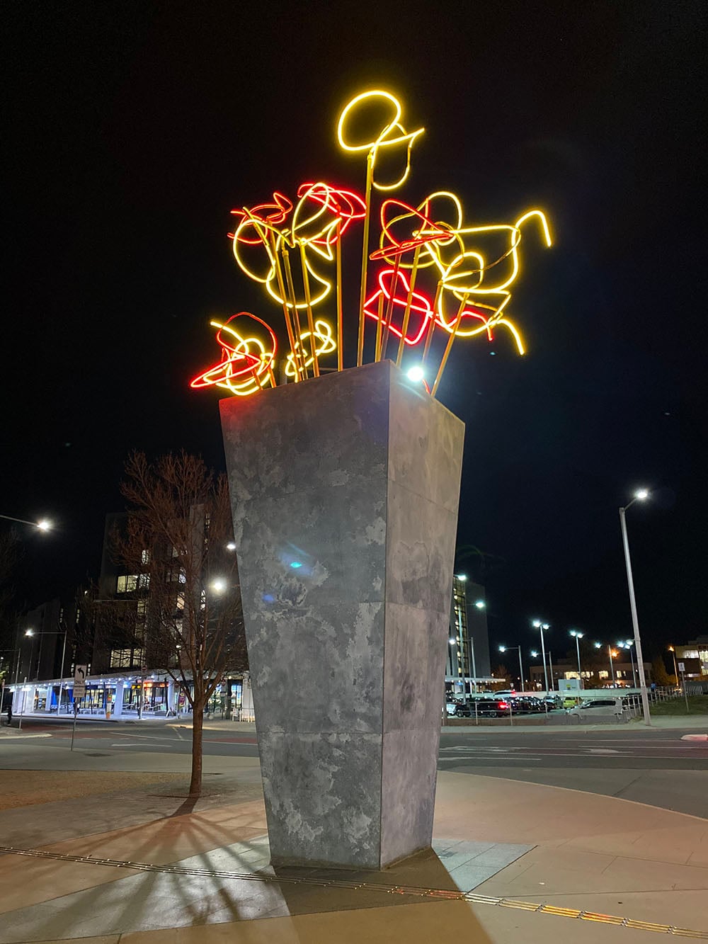iPhone 11 camera sample