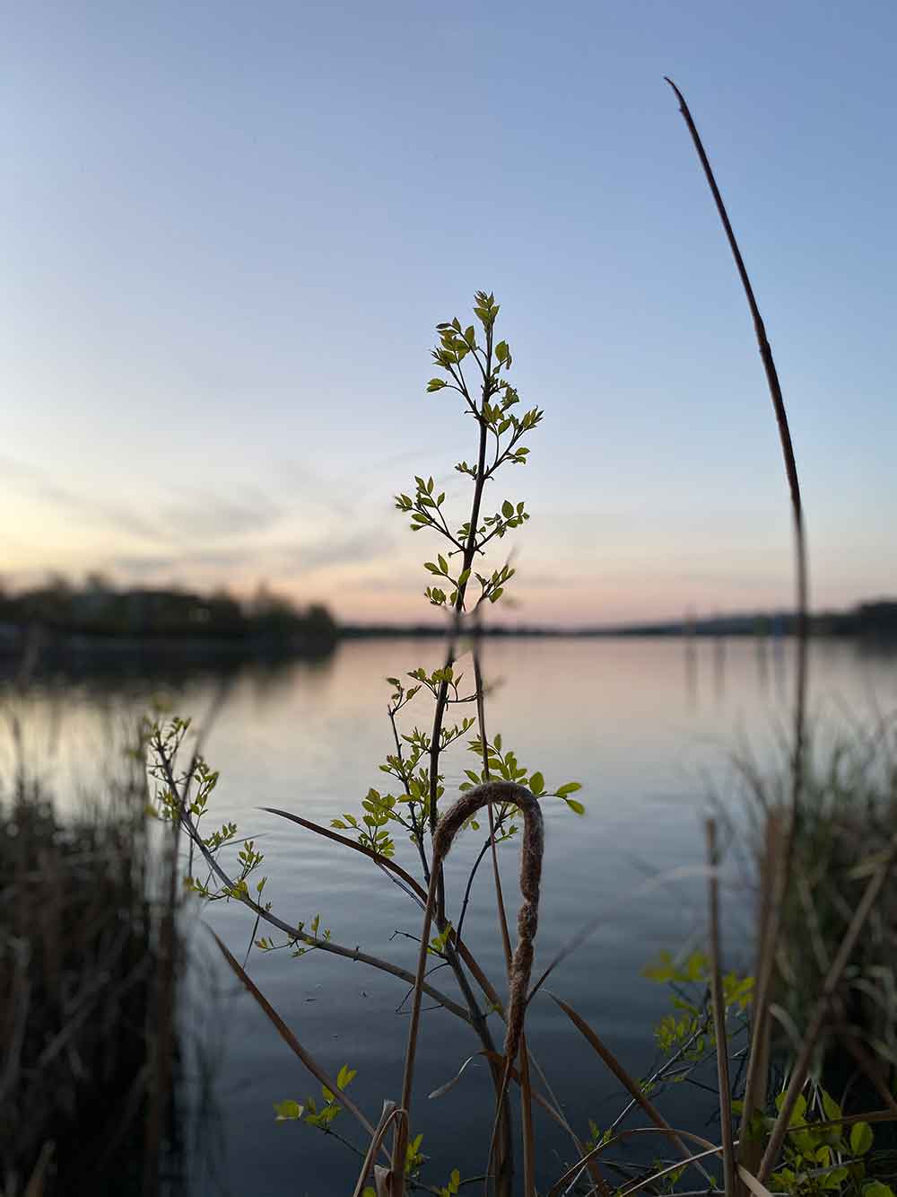 iPhone 11 camera sample