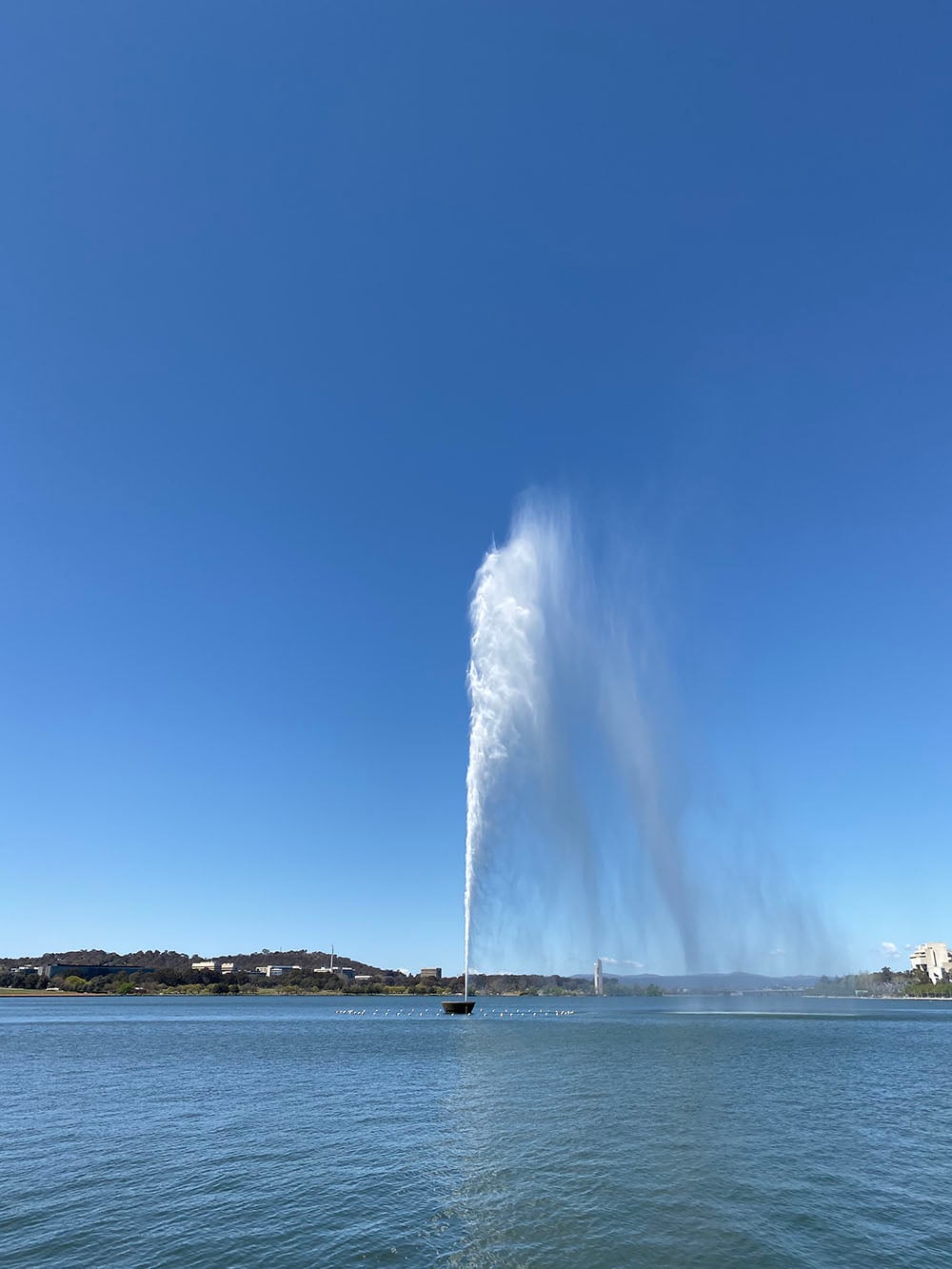 iPhone 11 camera sample