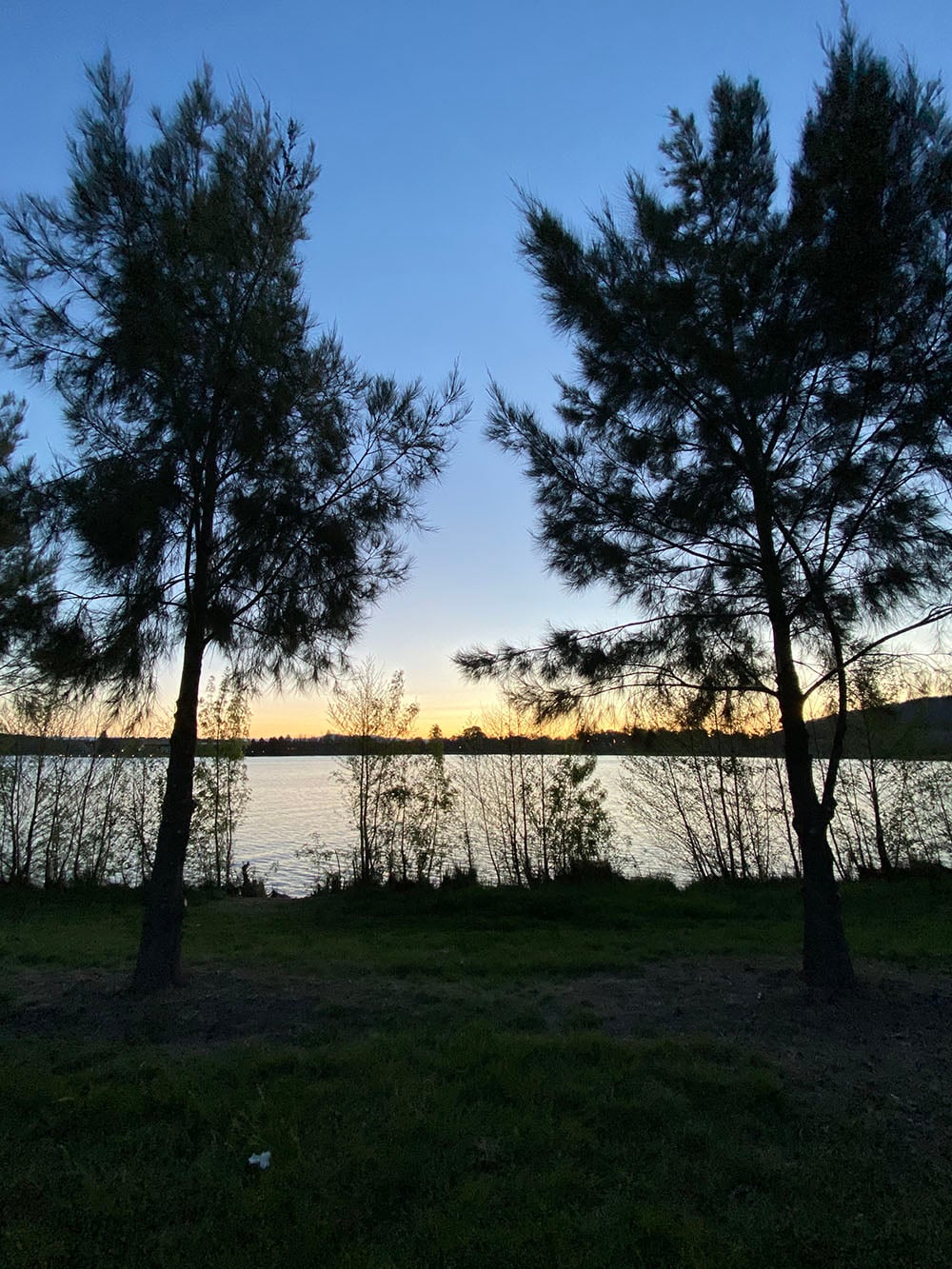 iPhone 11 camera sample