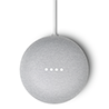 nest mini nest mini