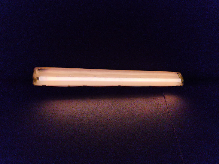 Huawei P40 Pro camera sample: fluro Huawei P40 Pro camera sample: fluro
