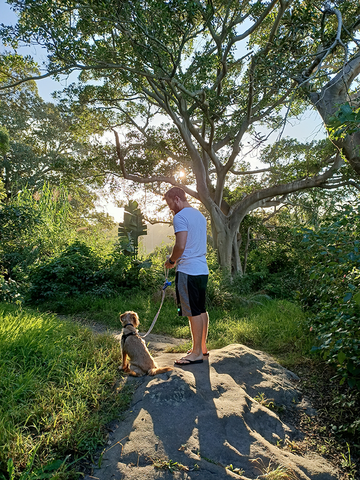 OPPO Reno 2 Z camera sample: walkies OPPO Reno 2 Z camera sample: walkies