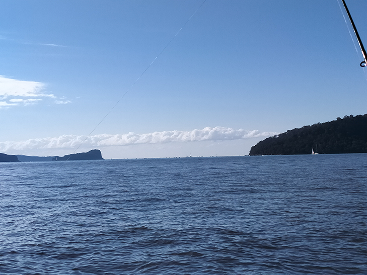 OPPO A52 Camera Sample - x2 Zoom OPPO A52 Camera Sample - x2 Zoom