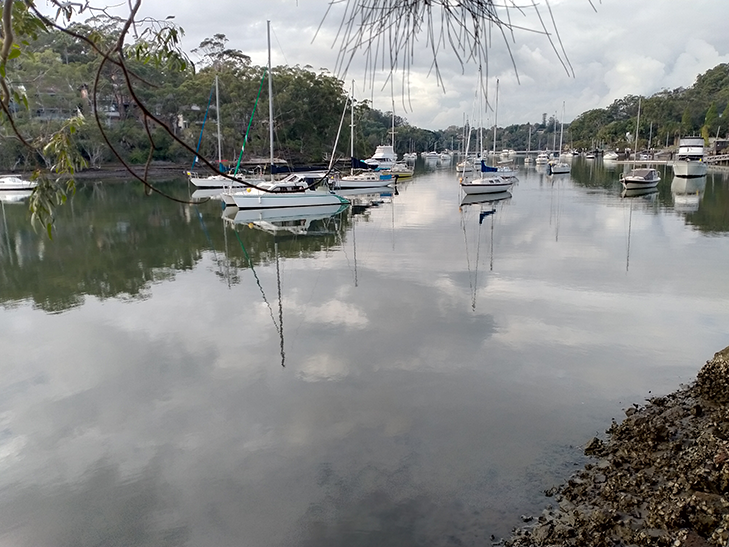 OPPO A52 Camera Sample - Scene OPPO A52 Camera Sample - Scene