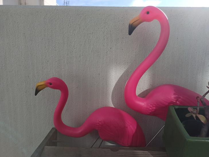 Realme 6 camera sample: Beatrice & Niles Realme 6 camera sample: Beatrice & Niles