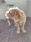 Alcatel 3 camera sample