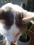 Moto G8 Power Lite Camera Sample - Photo Burst Moto G8 Power Lite Camera Sample - Photo Burst