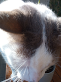Moto G8 Power Lite Camera Sample - Photo Burst Moto G8 Power Lite Camera Sample - Photo Burst