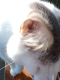 Moto G8 Power Lite Camera Sample - Photo Burst Moto G8 Power Lite Camera Sample - Photo Burst