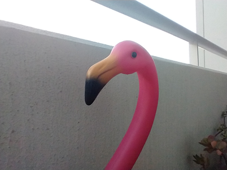 Moto G8 camera sample: Niles Moto G8 camera sample: Niles