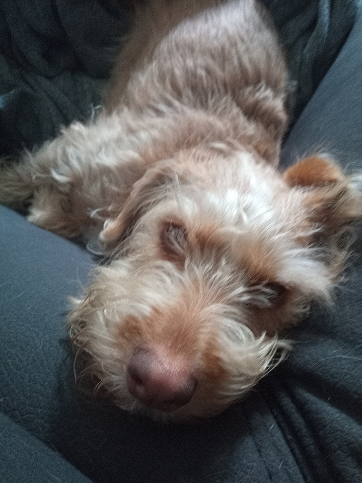 Moto G8 Power Lite Camera Sample - Low Light Moto G8 Power Lite Camera Sample - Low Light