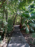 Moto G8 Power Lite Camera Sample - Primary Moto G8 Power Lite Camera Sample - Primary