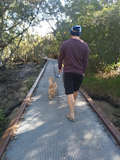 Moto G8 Power Lite Camera Sample - Moving subject Moto G8 Power Lite Camera Sample - Moving subject