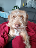 Moto G8 Power Lite Camera Sample - Primary Moto G8 Power Lite Camera Sample - Primary