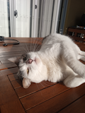 Moto G8 Power Lite Camera Sample - Primary Moto G8 Power Lite Camera Sample - Primary