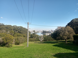 Moto G8 Power Lite Camera Sample - Zoom x1 Moto G8 Power Lite Camera Sample - Zoom x1