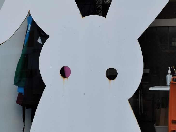 Huawei Mate XS camera sample - creepy rabbit Huawei Mate XS camera sample - creepy rabbit