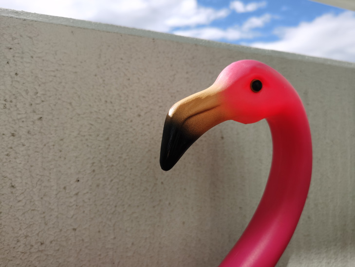 Huawei Mate XS camera sample - Niles Huawei Mate XS camera sample - Niles