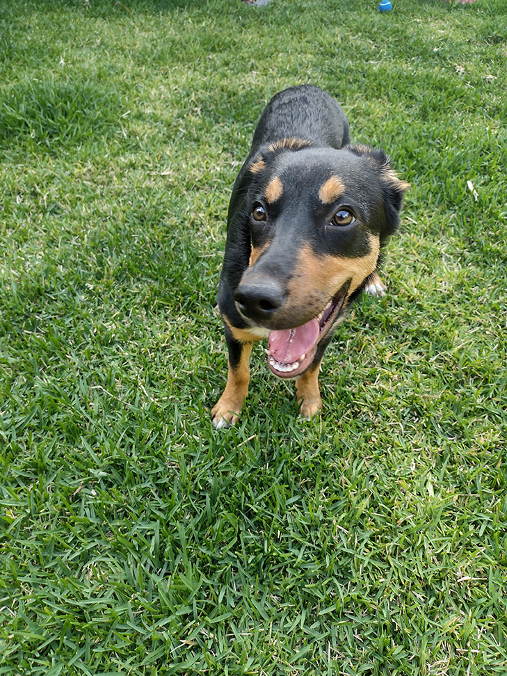Moto G9 Play: Camera Sample - the best girl Moto G9 Play: Camera Sample - the best girl