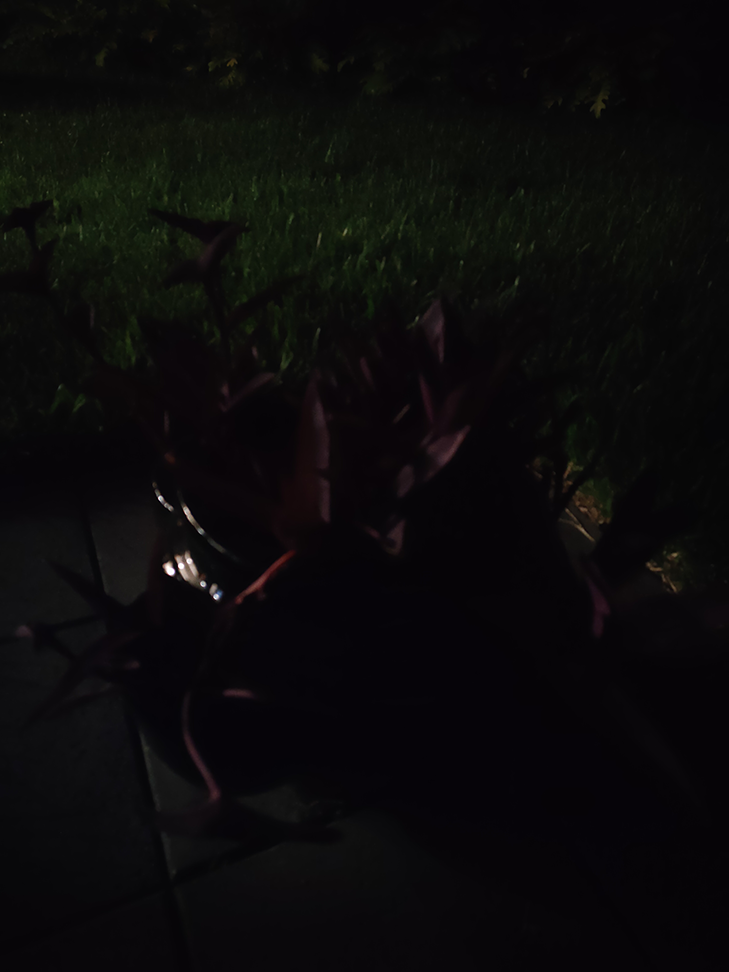 Night mode off No zoom