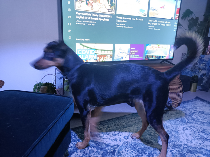 Realme 7 5G camera sample: blurry Billie Realme 7 5G camera sample: blurry Billie