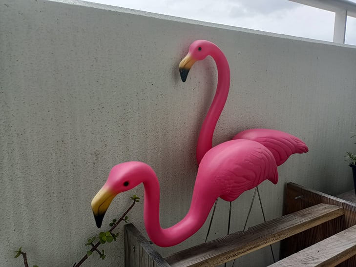 Realme 7 5G camera sample: Beatrice and Niles Realme 7 5G camera sample: Beatrice and Niles