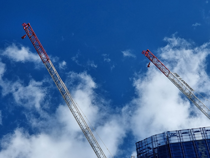 Samsung Galaxy S21 Ultra camera sample: crane 5x