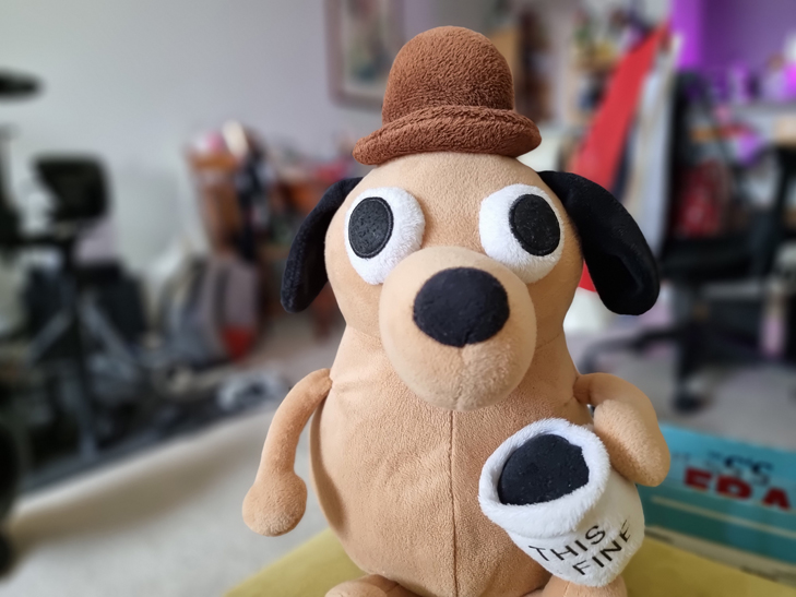 Samsung Galaxy S21 Ultra camera sample: this is fine