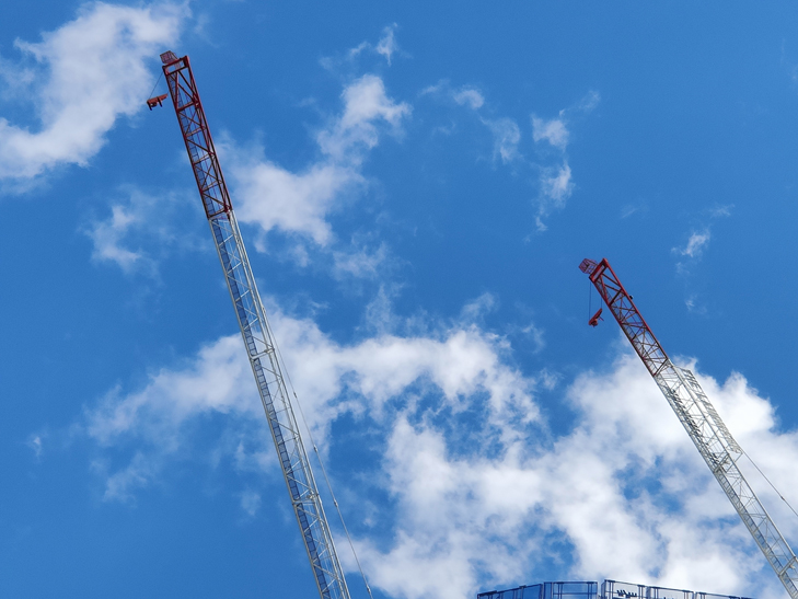 OPPO Find X3 Pro camera sample: crane 5x zoom