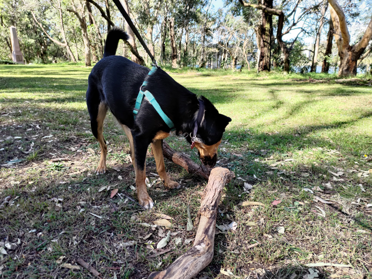 ASUS Zenfone 8 camera sample: Billie ASUS Zenfone 8 camera sample: Billie