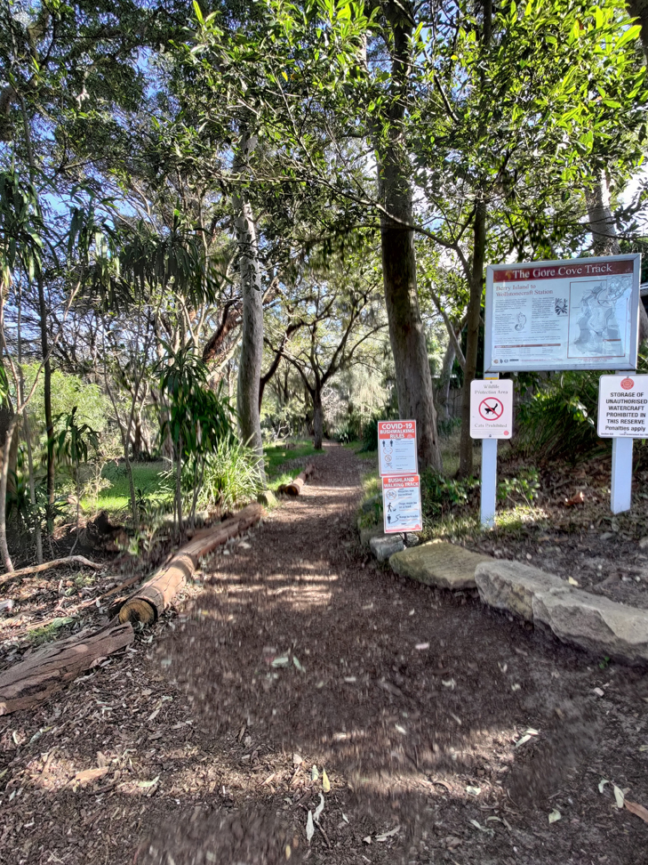 ASUS Zenfone 8 camera sample: hiking trail ASUS Zenfone 8 camera sample: hiking trail