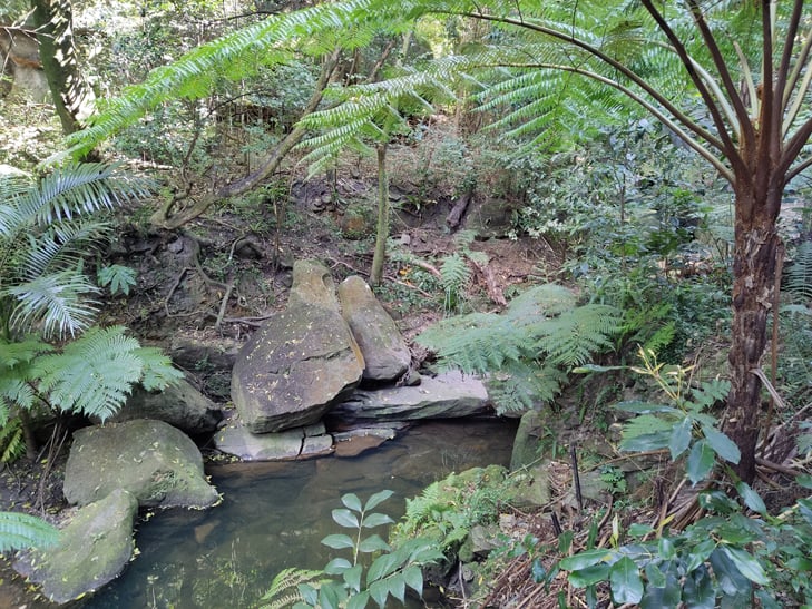 TCL 20 Pro 5G camera sample: river TCL 20 Pro 5G camera sample: river