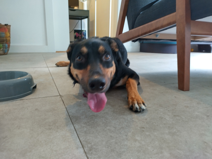 Nokia XR20 camera sample: Billie Nokia XR20 camera sample: Billie