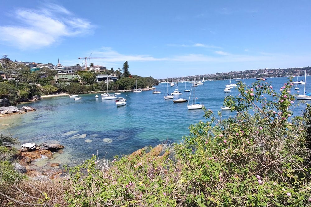Water with boats in Sydney's inner east Water with boats in Sydney's inner east